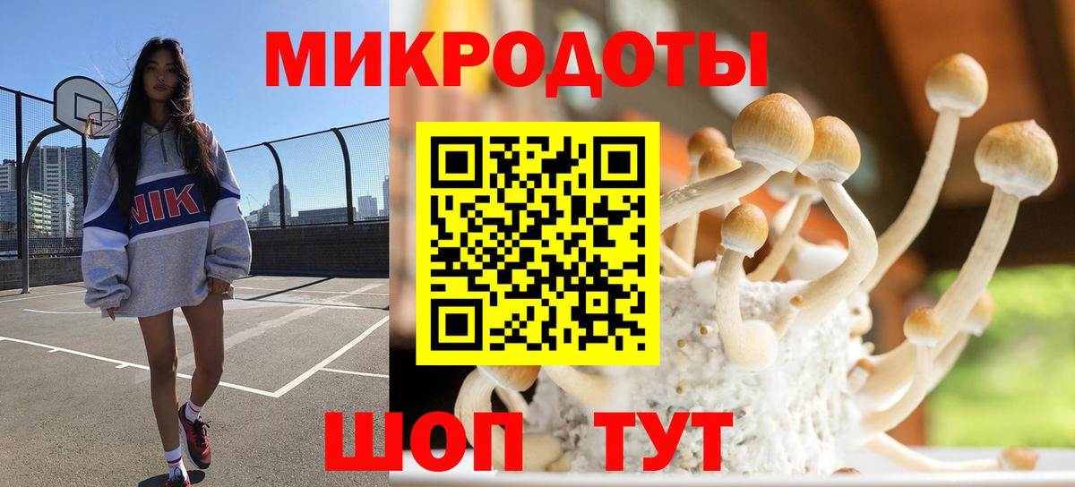 Псилоцибиновые грибы MAGIC MUSHROOMS Новошахтинск